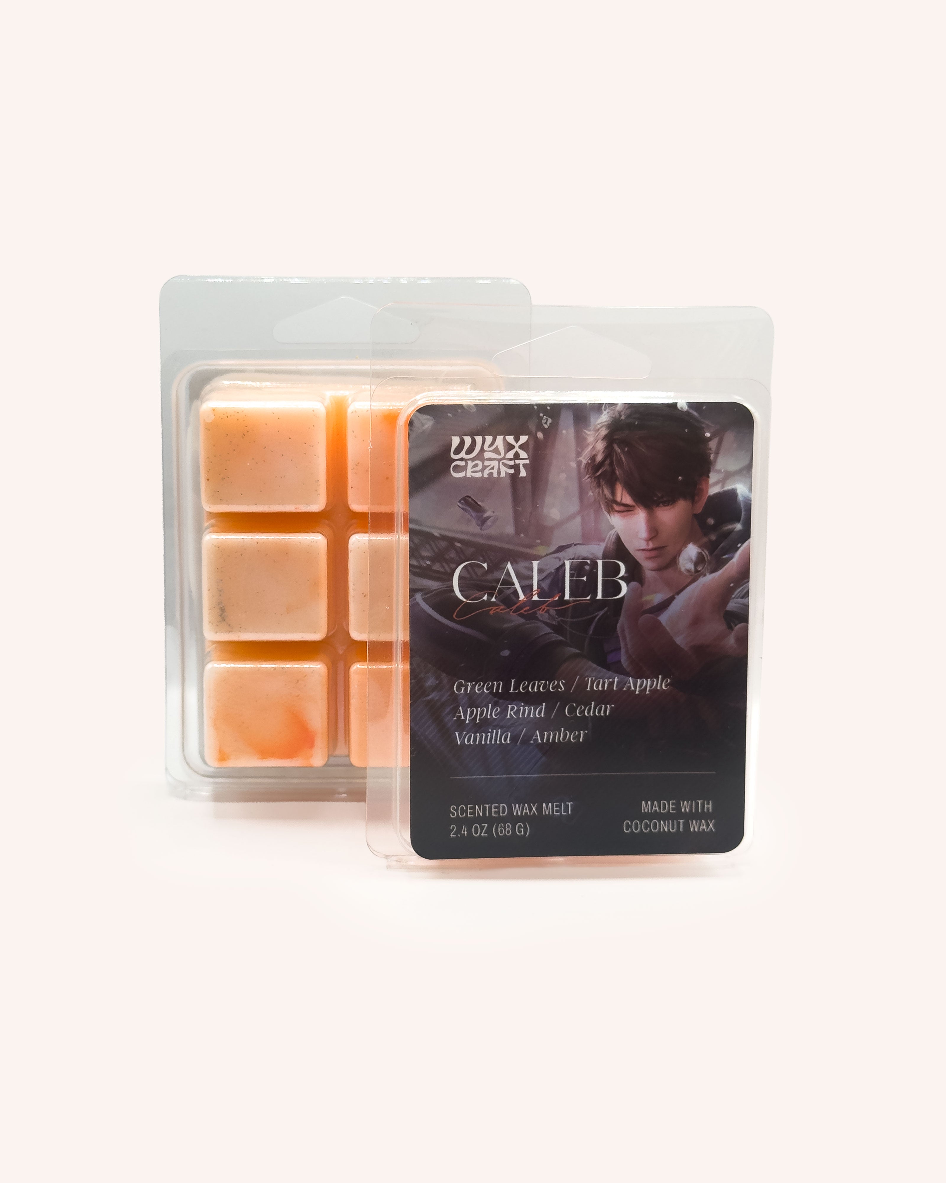 Love and Deepspace Wax Melts